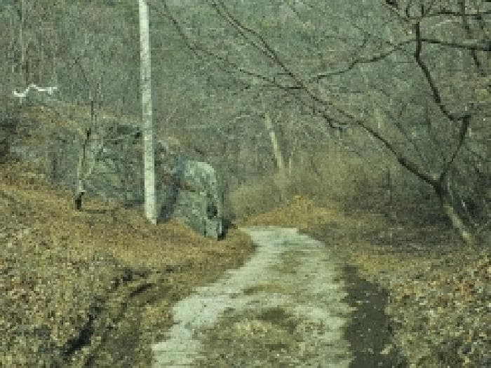 전라남도 순천시 삼거동 산266-1