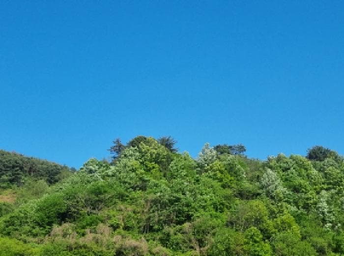 전라남도 광양시 진월면 신아리 산27