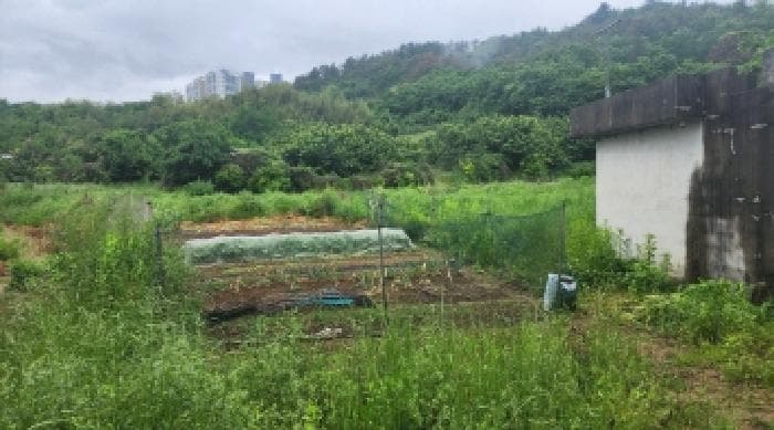전라남도 여수시 율촌면 조화리 95