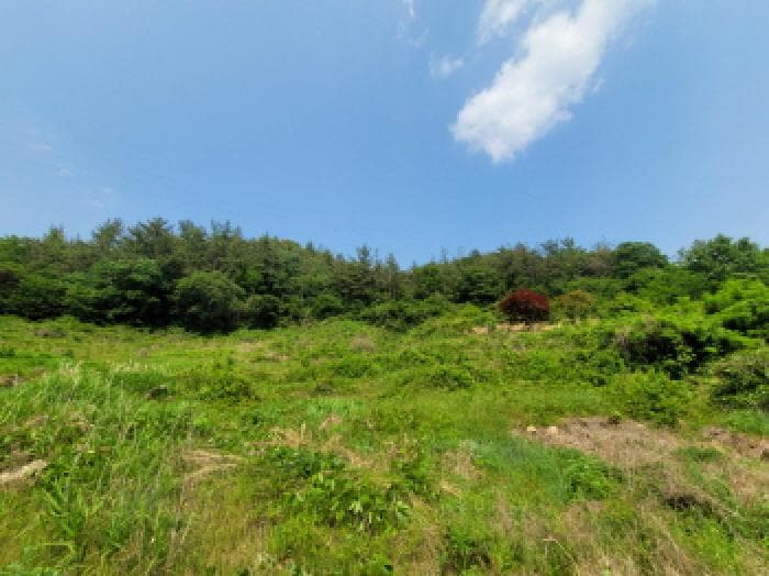 전라남도 순천시 덕월동 1321-45