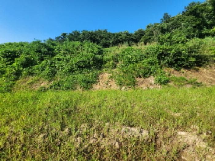 전라남도 순천시 해룡면 용전리 595