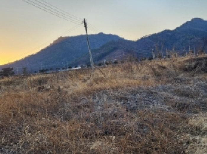 전라남도 고흥군 동강면 장덕리 산77-2 외 154 필지