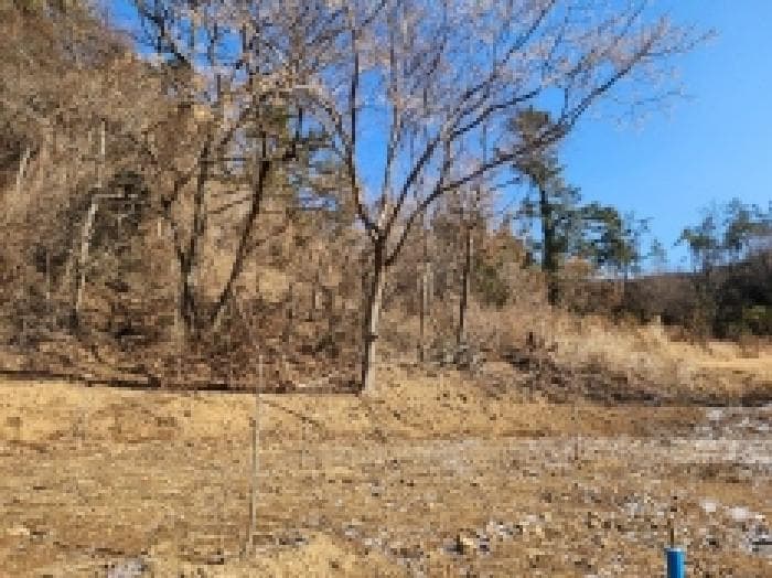 전라남도 고흥군 대서면 화산리 산33