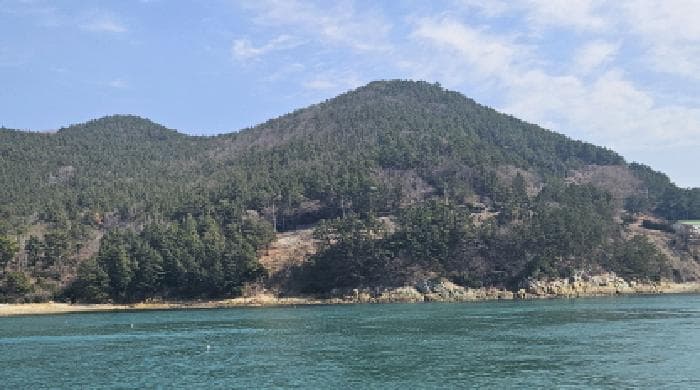 전라남도 여수시 돌산읍 신복리 산460