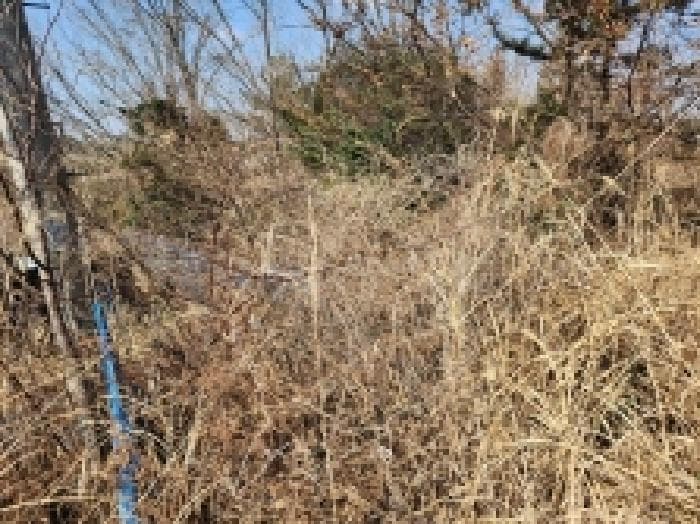 전라남도 고흥군 금산면 석정리 1748