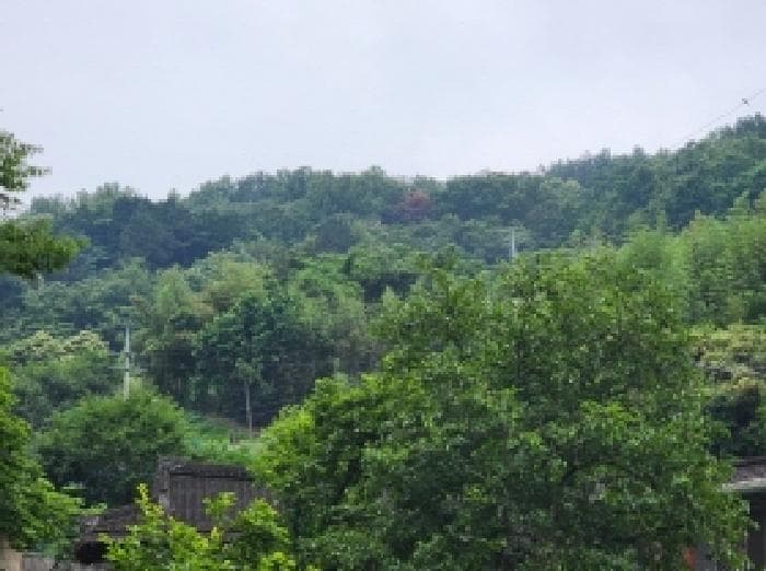 전라남도 여수시 율촌면 월산리 산79