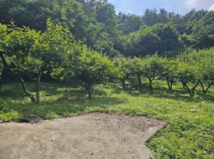 전라남도 순천시 별량면 우산리 341