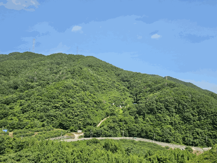 전라남도 광양시 옥곡면 묵백리 산50