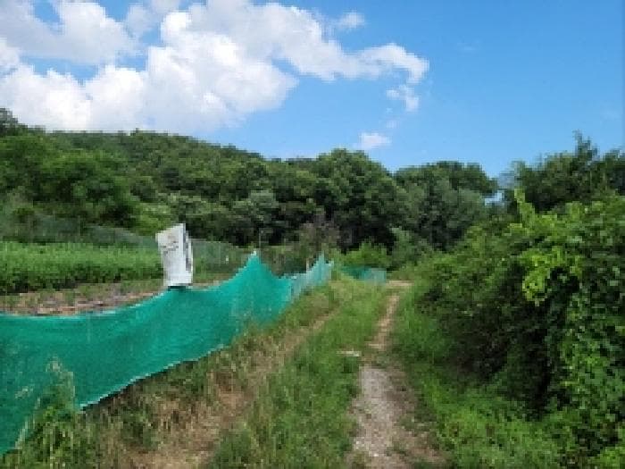 전라남도 여수시 주삼동 648