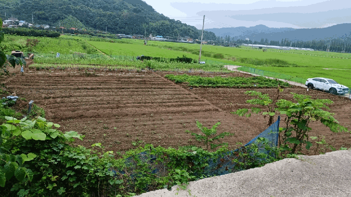 전라남도 광양시 옥곡면 신금리 1807