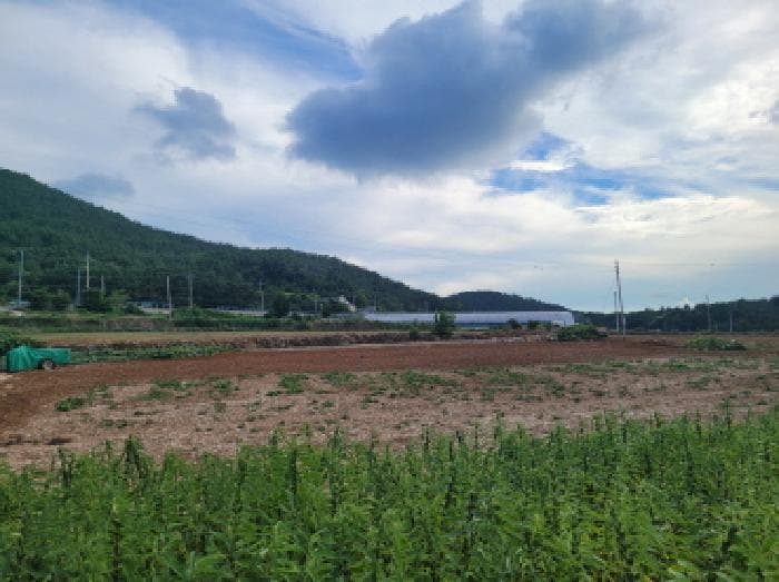 전라남도 여수시 돌산읍 금봉리 1278-1