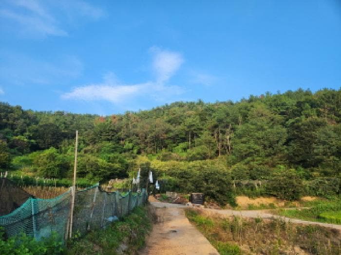 전라남도 순천시 해룡면 선월리 산12