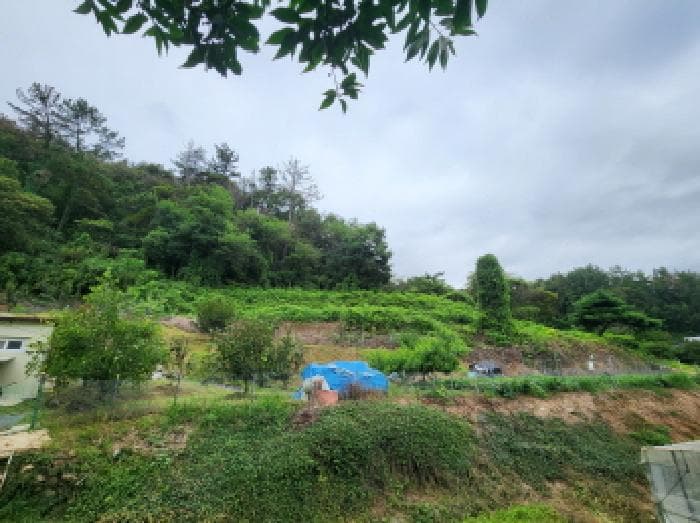 전라남도 순천시 인월동 882