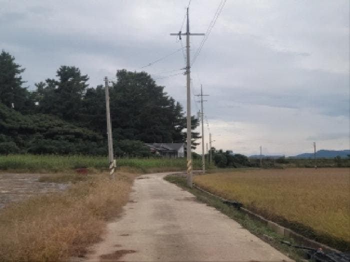 전라남도 고흥군 금산면 석정리 1463-1 외 1 필지