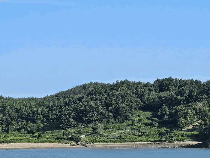 전라남도 고흥군 도화면 구암리 766-16