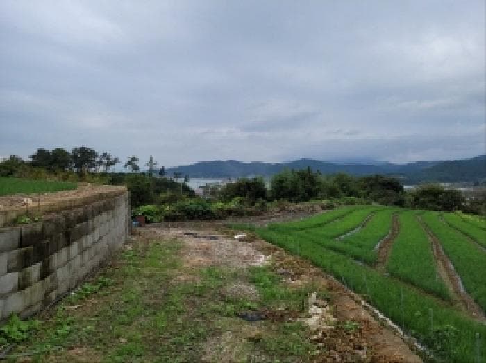 전라남도 광양시 봉강면 구서리 산152
