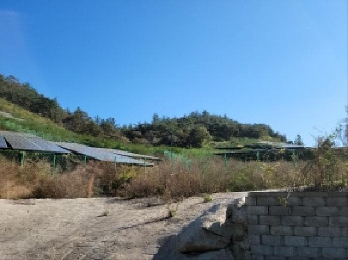 전라남도 보성군 노동면 대련리 산37