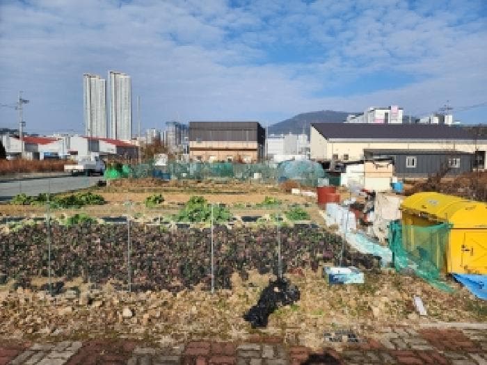 전라남도 광양시 마동 1174-6