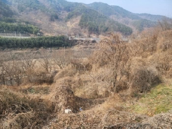 전라남도 구례군 구례읍 계산리 1502-1