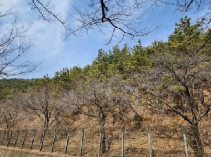 전라남도 순천시 왕지동 산61