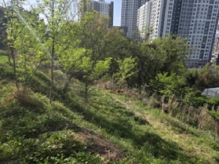 전라남도 순천시 연향동 1050-2 외 3 필지