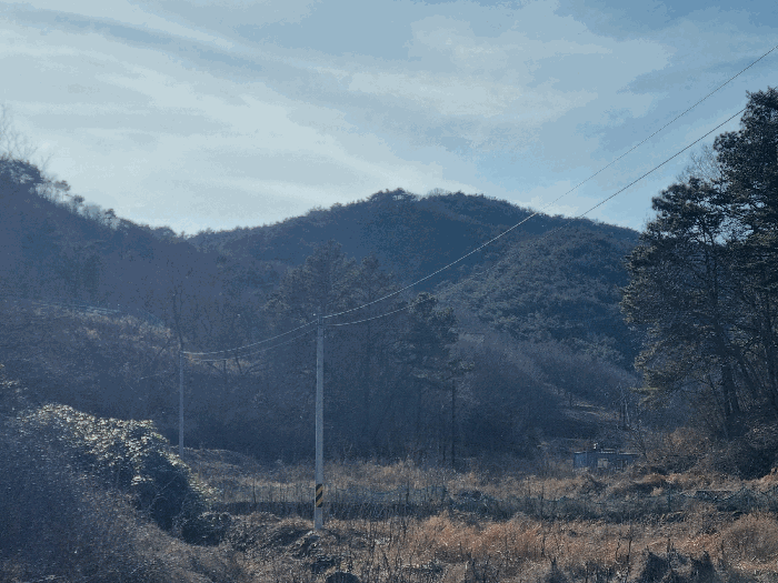 전라남도 순천시 승주읍 구강리 산107-1 외 1 필지