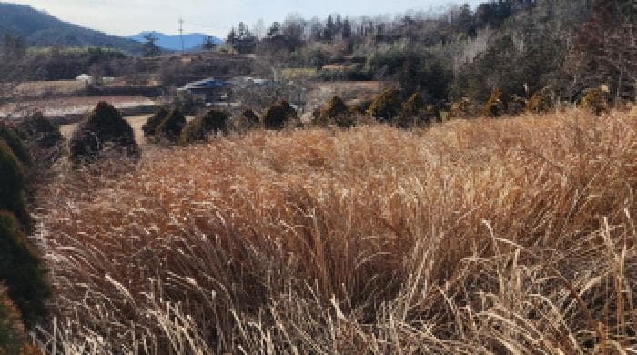 전라남도 보성군 보성읍 쾌상리 698-9