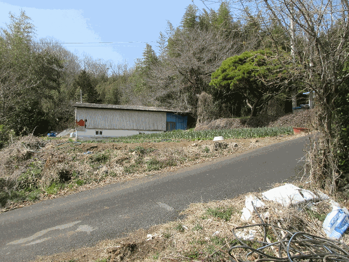 전라남도 보성군 겸백면 수남리 517