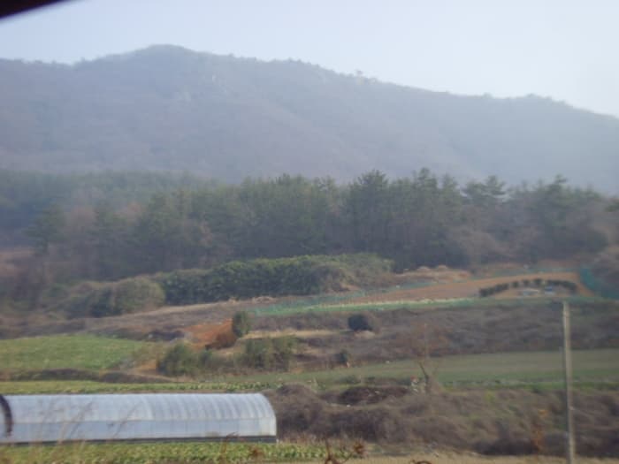 전라남도 해남군 화원면 영호리 175-1