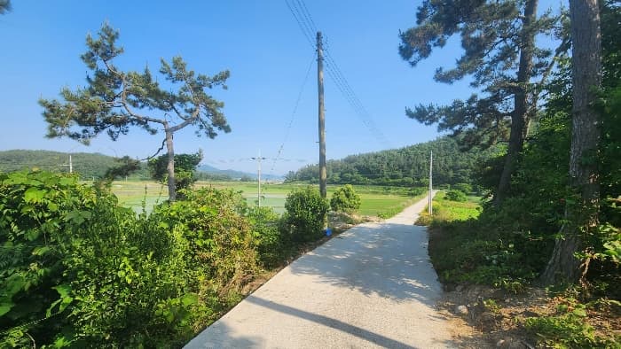 전라남도 진도군 지산면 길은리 20