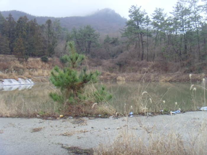 전라남도 해남군 현산면 월송리 1380-1 외 5 필지