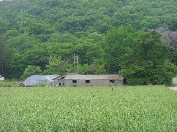 전라남도 해남군 현산면 황산리 106-10