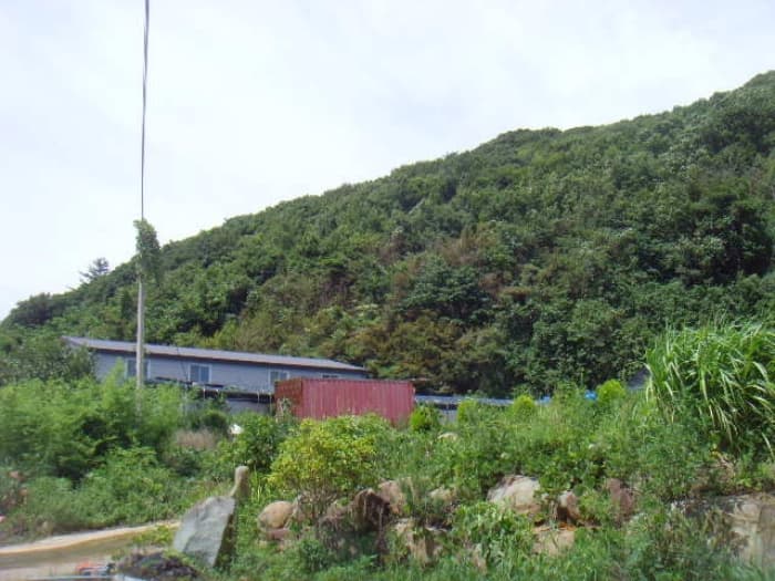 전라남도 완도군 군외면 청해진북로 473-24 외 2 필지