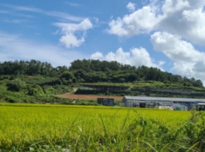 전라남도 해남군 문내면 서상리 636