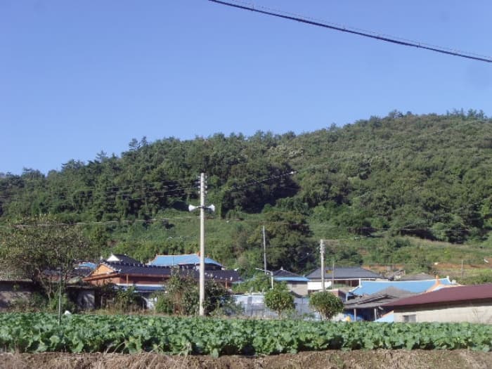 전라남도 해남군 화원면 후산리 산384-3