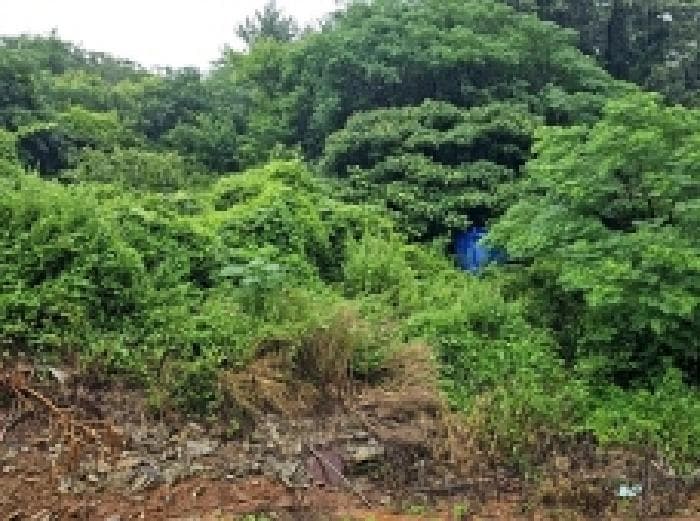 전라남도 해남군 화원면 마산리 159-1