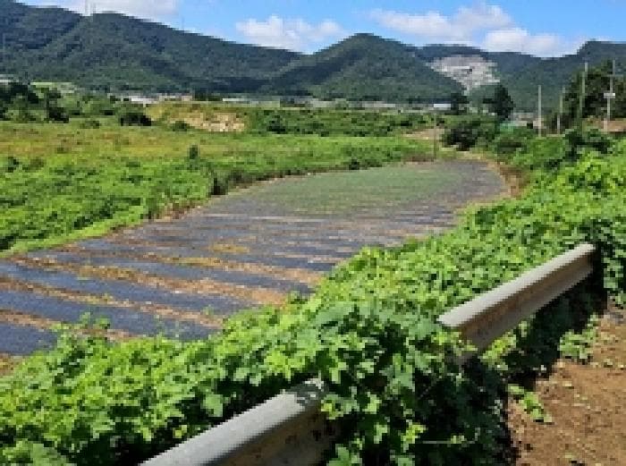 전라남도 해남군 화원면 영호리 85-3 외 1 필지
