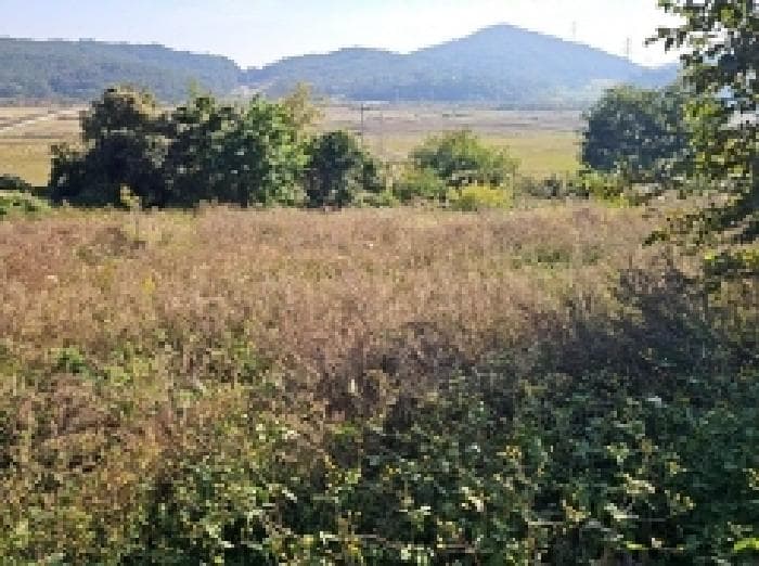 전라남도 해남군 황산면 송호리 산69-8
