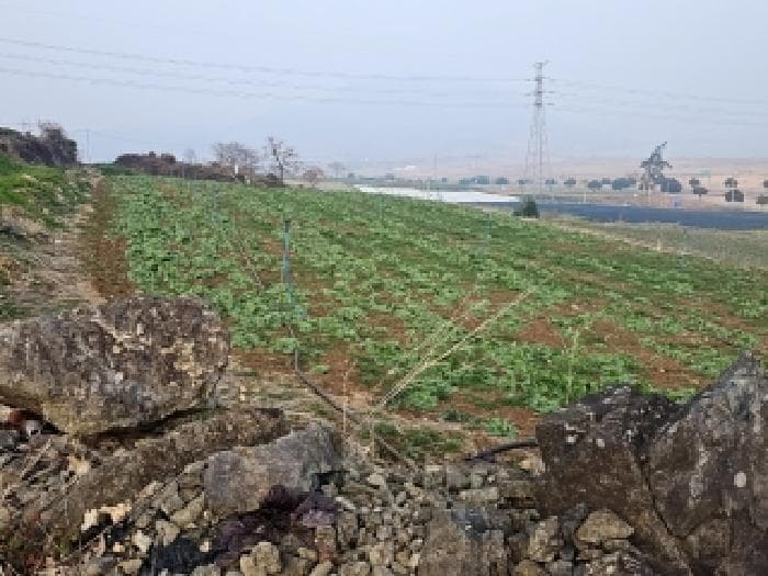 전라남도 해남군 화원면 청용리 73