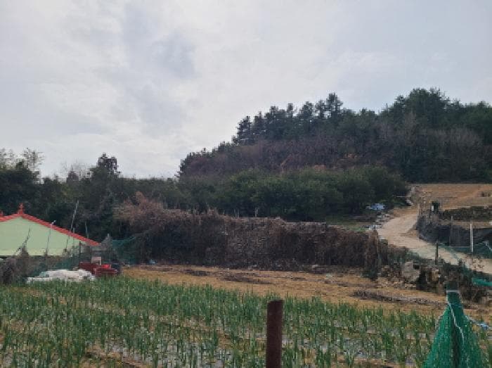 전라남도 완도군 금일읍 신구리 820-1