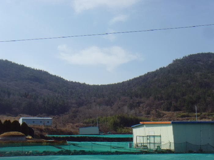 전라남도 완도군 생일면 유서리 산72