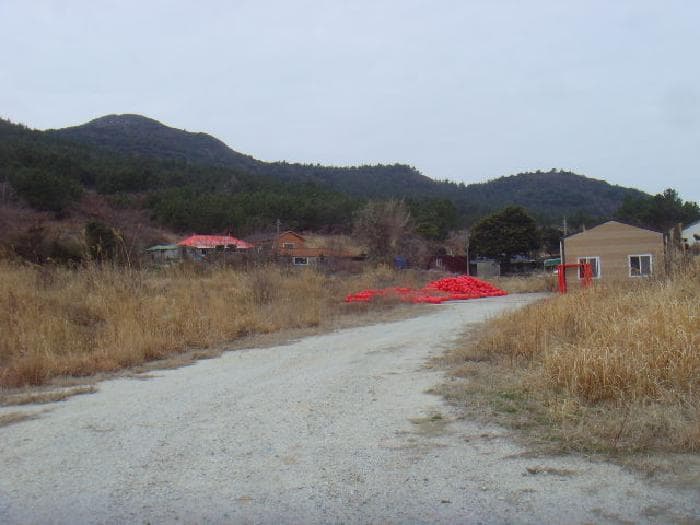 전라남도 완도군 보길면 정자리 877-8 외 1 필지