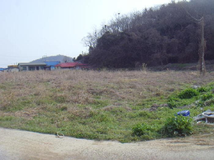 전라남도 진도군 고군면 지막리 1827-3