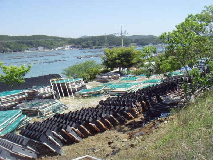 전라남도 완도군 보길면 중통리 산230-2