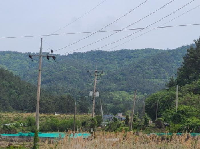 전라남도 완도군 약산면 우두리 산62