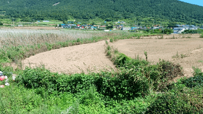 전라남도 완도군 청산면 동촌리 462 외 1 필지