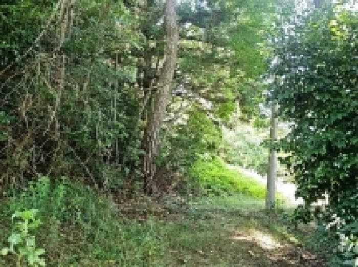 전라남도 해남군 삼산면 원진리 산75-5