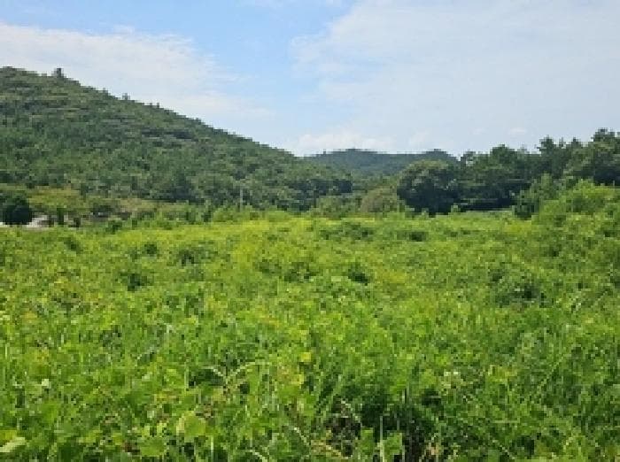 전라남도 해남군 화원면 후산리 1281