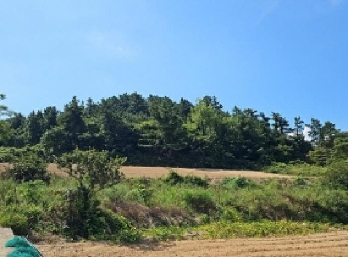 전라남도 해남군 문내면 서상리 114