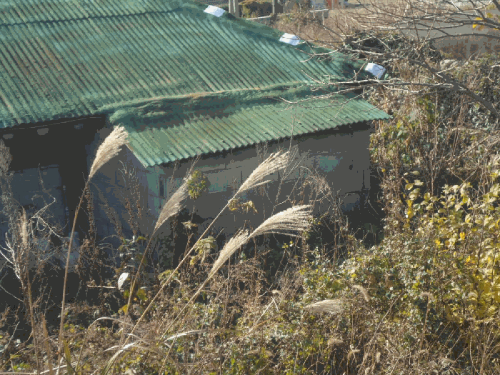 전라남도 진도군 조도면 신육리 산44